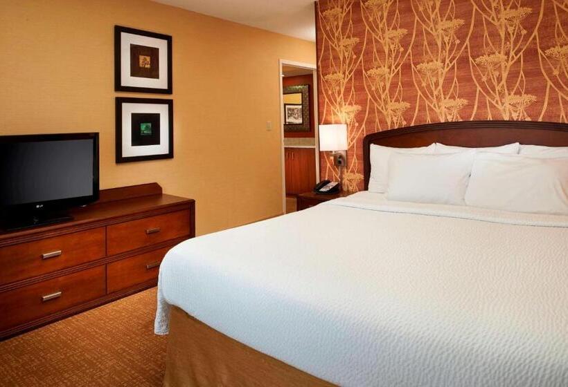 جناح سرير كينج, Sonesta Select Detroit Novi