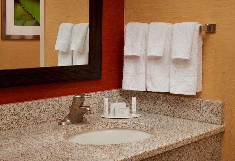 豪华房间, Sonesta Select Detroit Novi