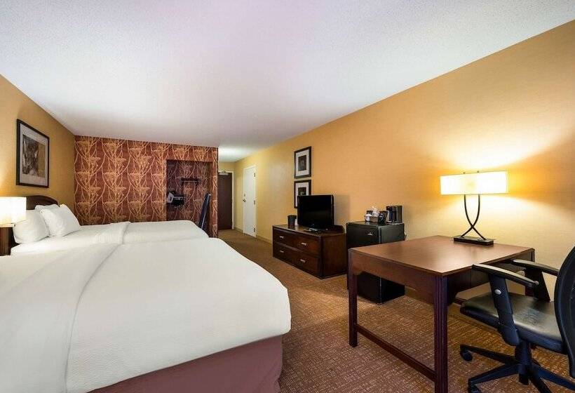 豪华房间, Sonesta Select Detroit Novi