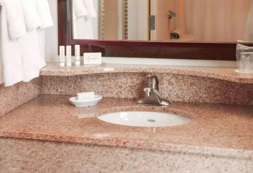 キングサイズベッドのスイートルーム, Springhill Suites Houston Pearland