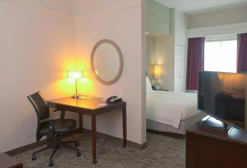 キングサイズベッドのスイートルーム, Springhill Suites Houston Pearland