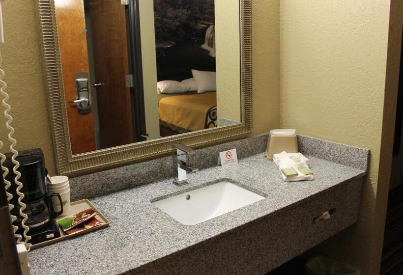 חדר סטנדרט, מיטת קינג, מותאם לאדם עם מוגבלויות, Super 8 By Wyndham Morrilton