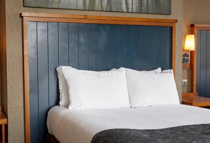 家庭间, White Rabbit By Chef & Brewer Collection