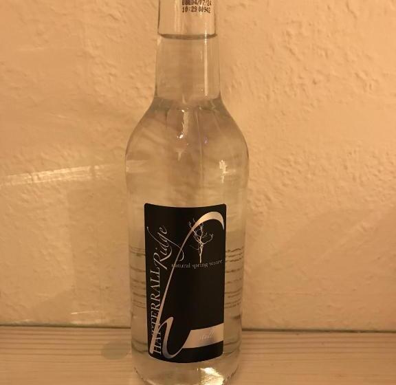 غرفة قياسية فردية, The Bowden Lodge