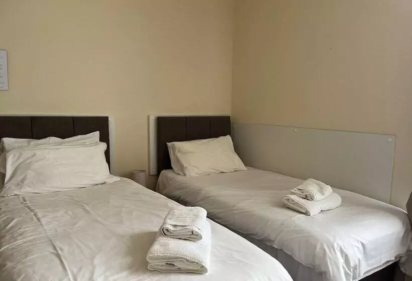 اتاق سوپریور یک تخته, City Centre Guest House