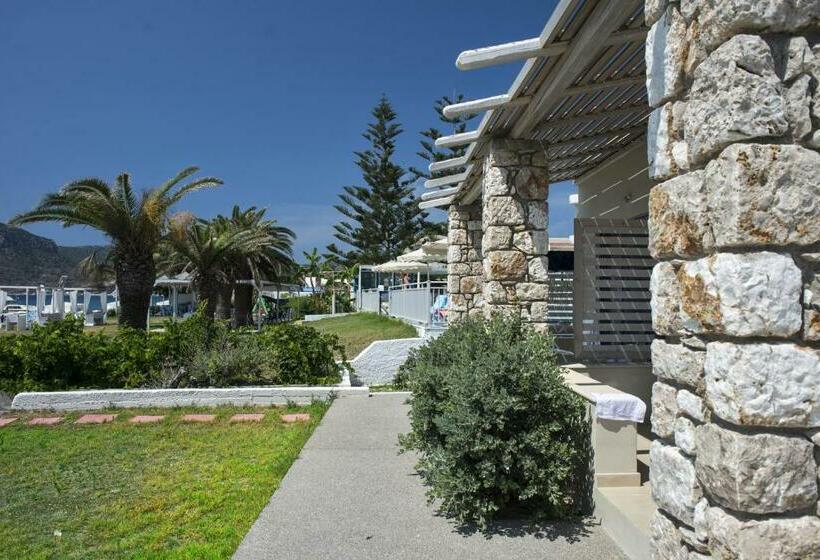 ファミリーステューディオ, Kordistos