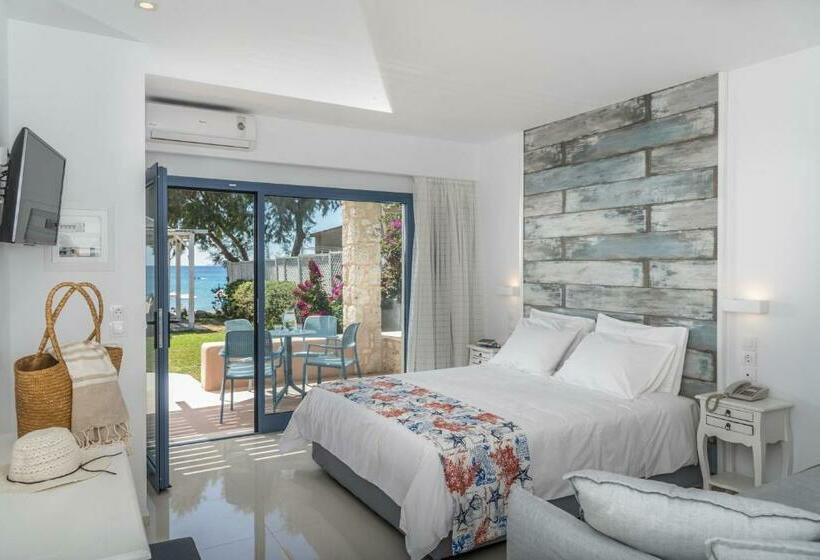 ファミリーステューディオ, Kordistos