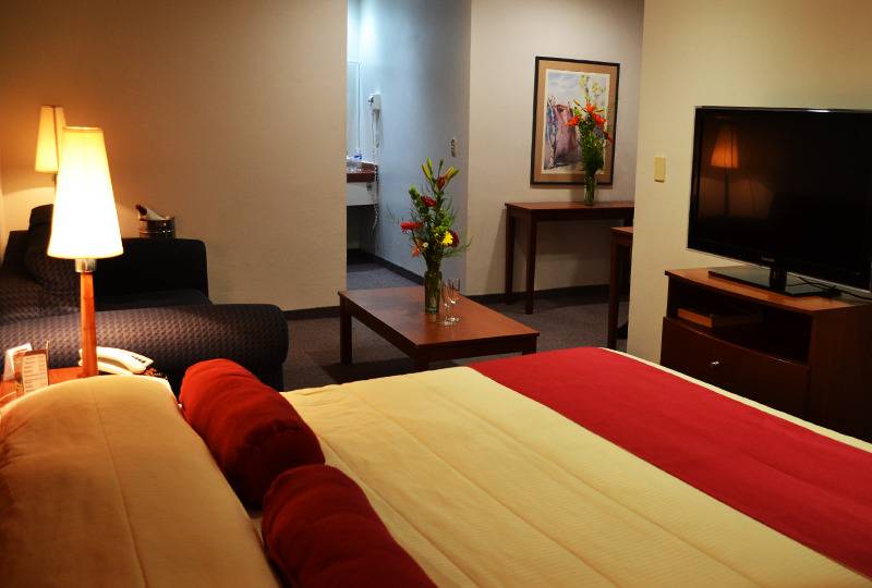 جناح جونيور, Mediterraneo Sa De Cv