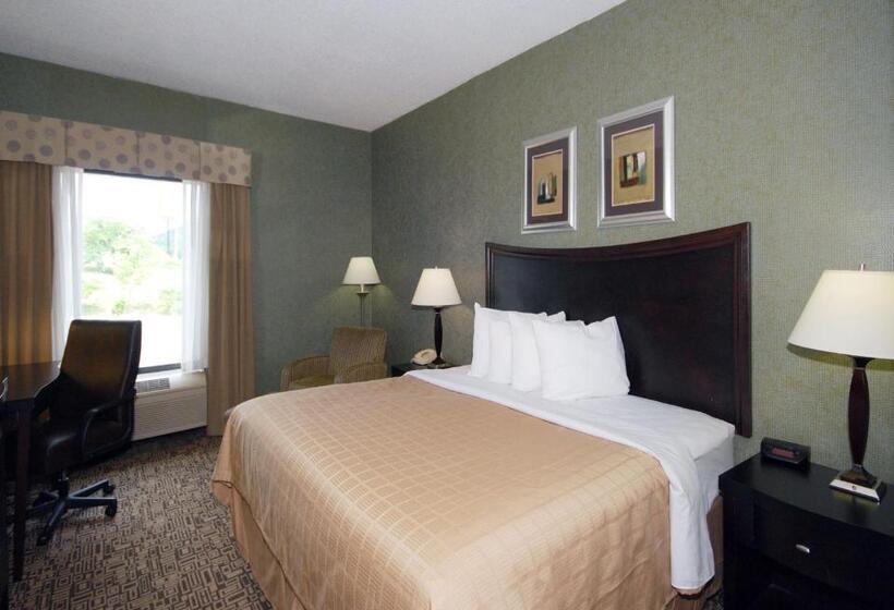 חדר סטנדרט עם מיטת קינג, Quality Inn Troutville  Roanoke North