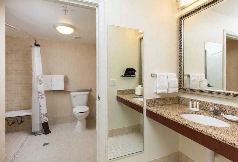 스위트, Residence Inn By Marriott Springfield Old Keene Mill