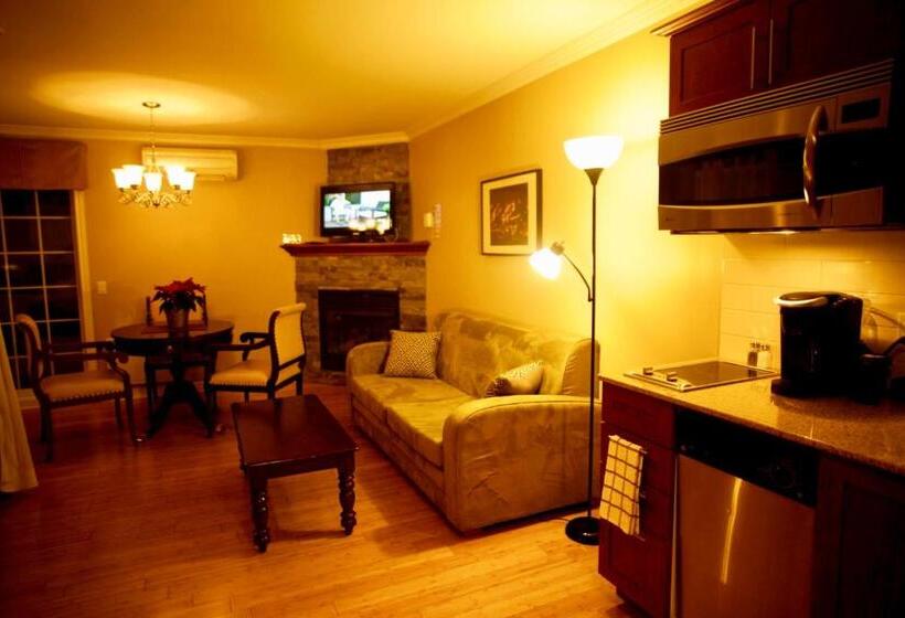 Студио Стандарт Кровать Кинг, St Sauveur Lovely Studio