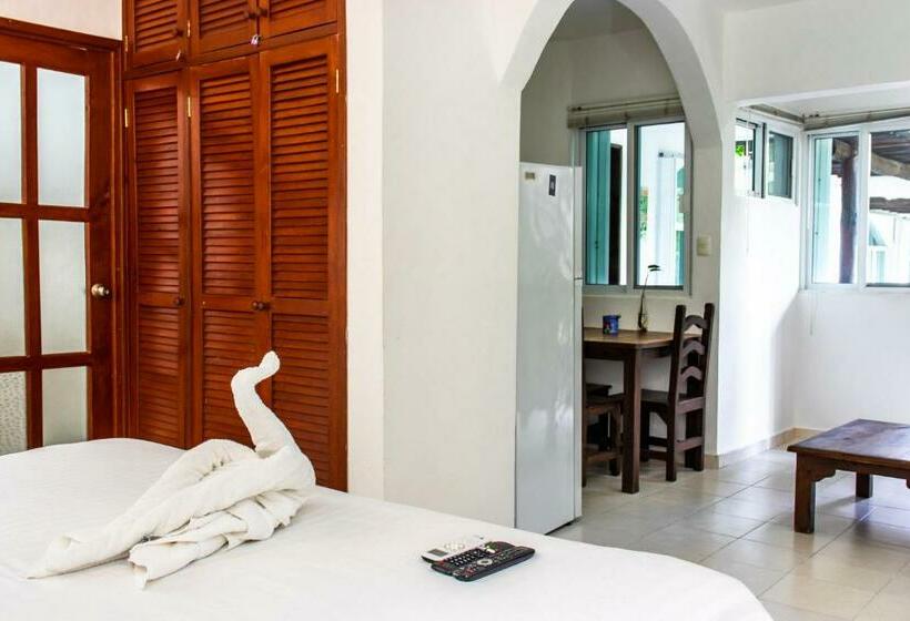 Standard Studio King Bed, Apart Hotel Casaejido