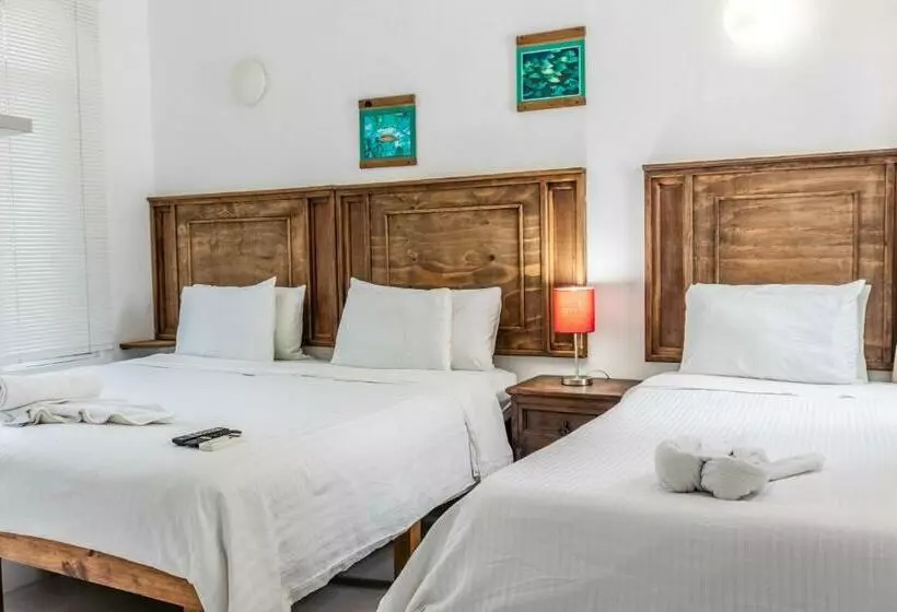 Standard-studio, Apart Hotel Casaejido
