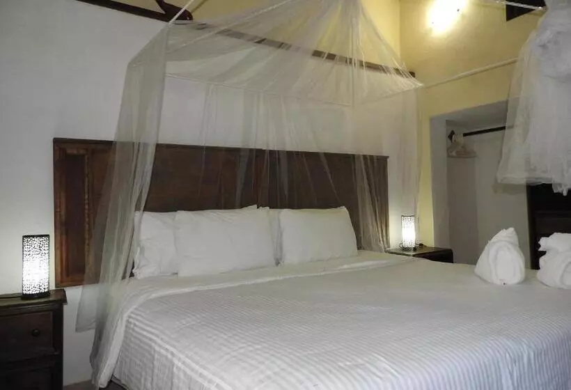 Standard-huone, Apart Hotel Casaejido