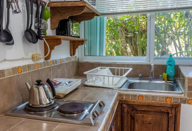 家庭间, Apart Hotel Casaejido