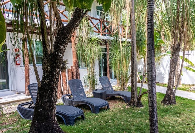 标准工作室, Apart Hotel Casaejido