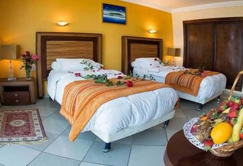 اتاق استاندارد یک نفره, Abbasides Palace