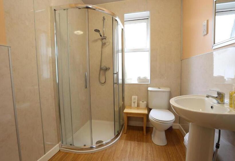 غرفة قياسية فردية, An Caislean Guest House