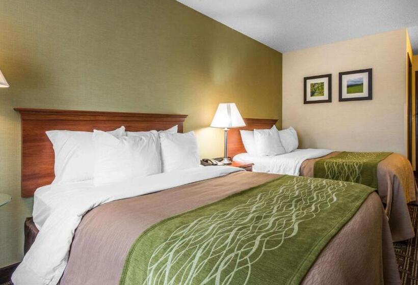 غرفه قياسيه سريرين مزدوجين, Comfort Inn