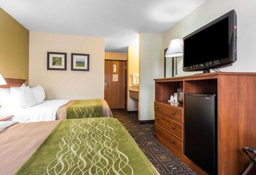 غرفه قياسيه سريرين مزدوجين, Comfort Inn