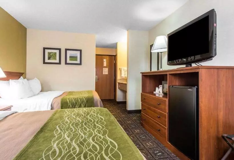 ２ダブルベッドのスタンダードルーム, Comfort Inn
