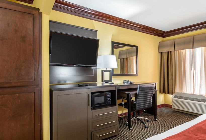 スイート, Comfort Suites Lake Jackson Clute