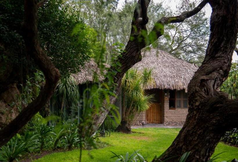 ジュニアスイート, Nirvana Restaurant & Retreat