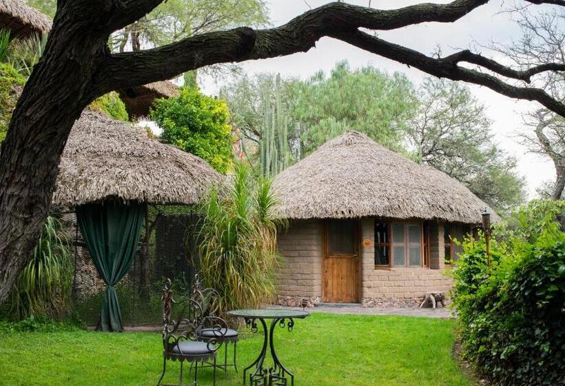 ジュニアスイート, Nirvana Restaurant & Retreat