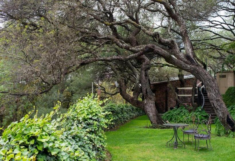 ジュニアスイート, Nirvana Restaurant & Retreat