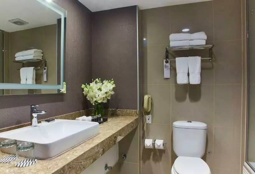 Büyük Çift Kişilik Yataklı Lüks Oda, Pullman Lima San Isidro