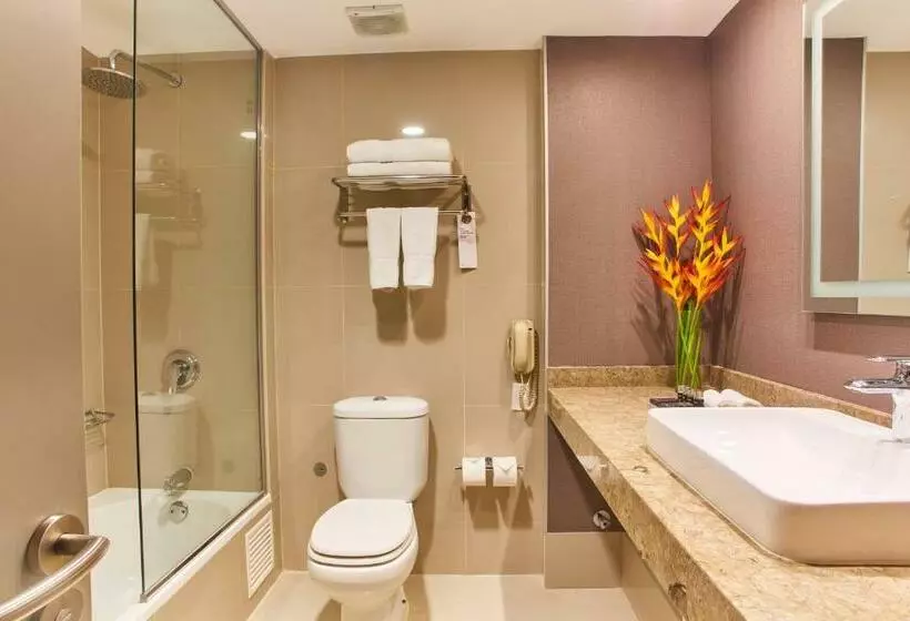 Büyük Çift Kişilik Yataklı Junior Süiti, Pullman Lima San Isidro