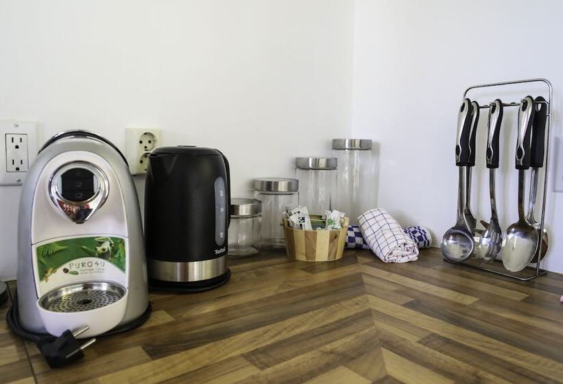 اتاق سوپریور, Scuba Lodge & Suites