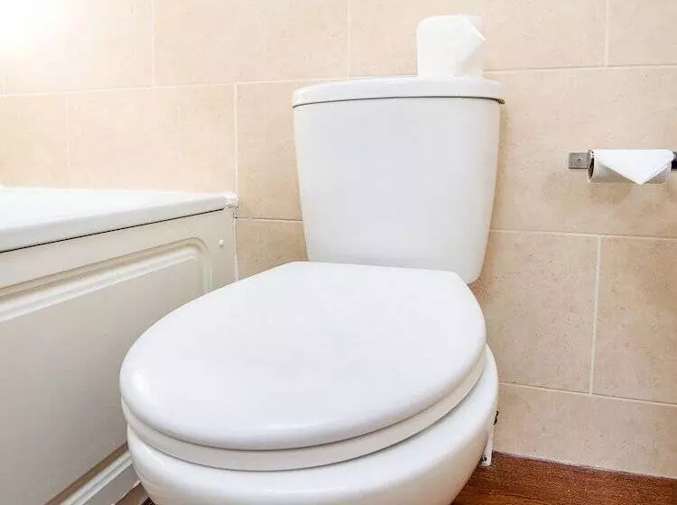 Standard Yhden Hengen Huone, The Regency Bristol