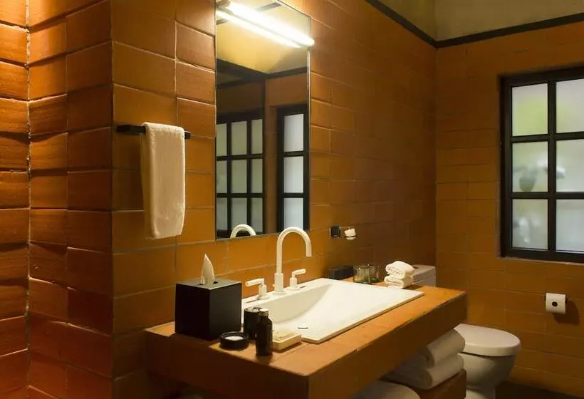 スイート, Downtown Mexico, A Member Of Design Hotels