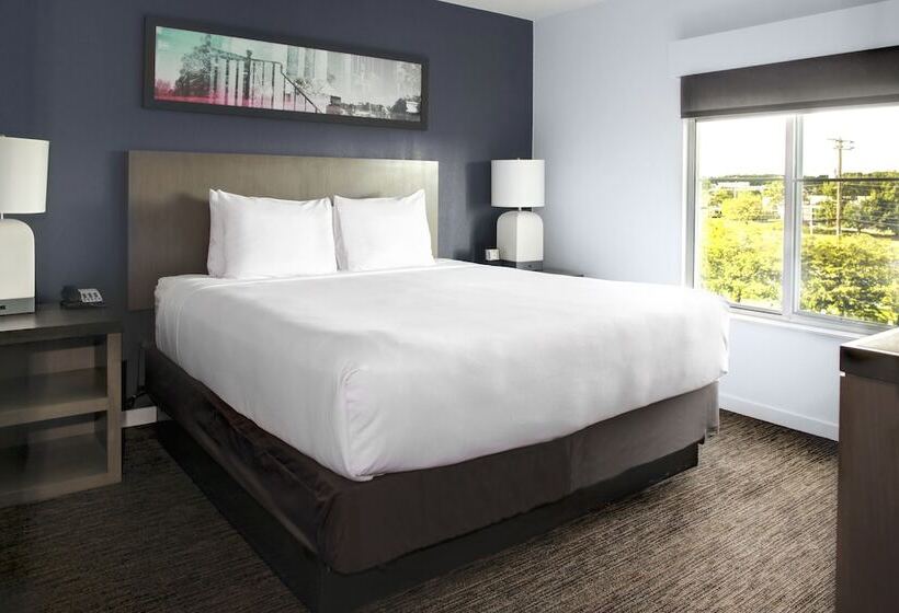 스탠다드 룸 킹사이즈 침대, Hyatt House Sterling/dulles Airport North