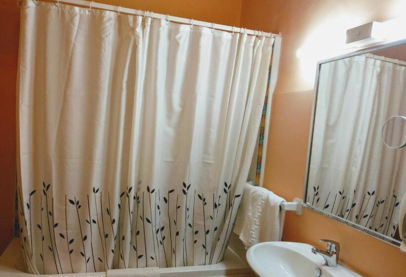 اتاق استاندارد, Pedro Torres