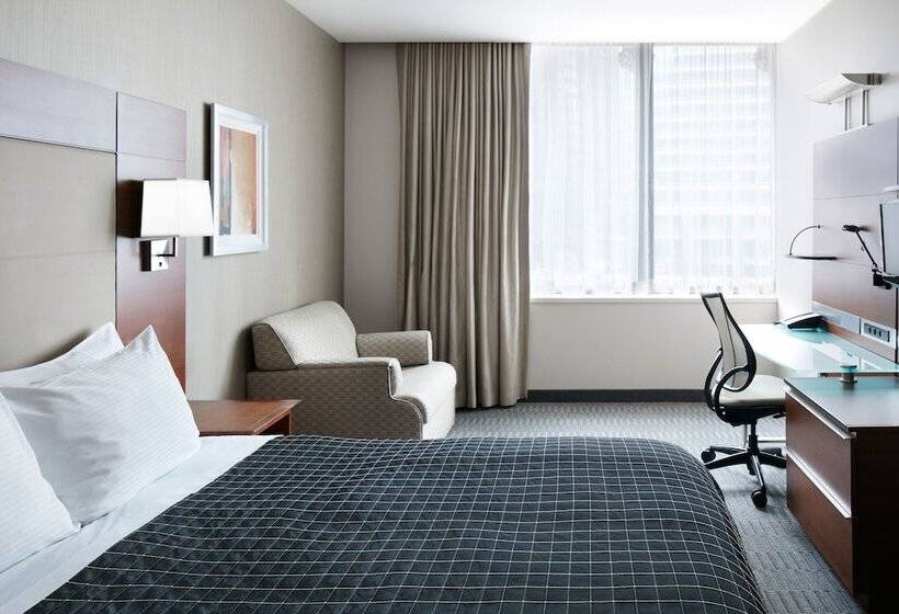 اتاق سوپریور, River