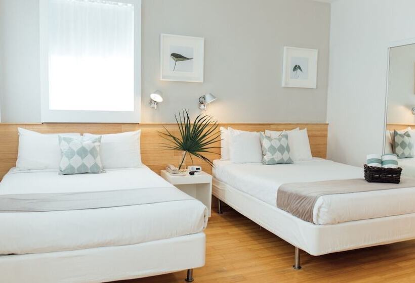 غرفة ديلوكس, Riviere South Beach