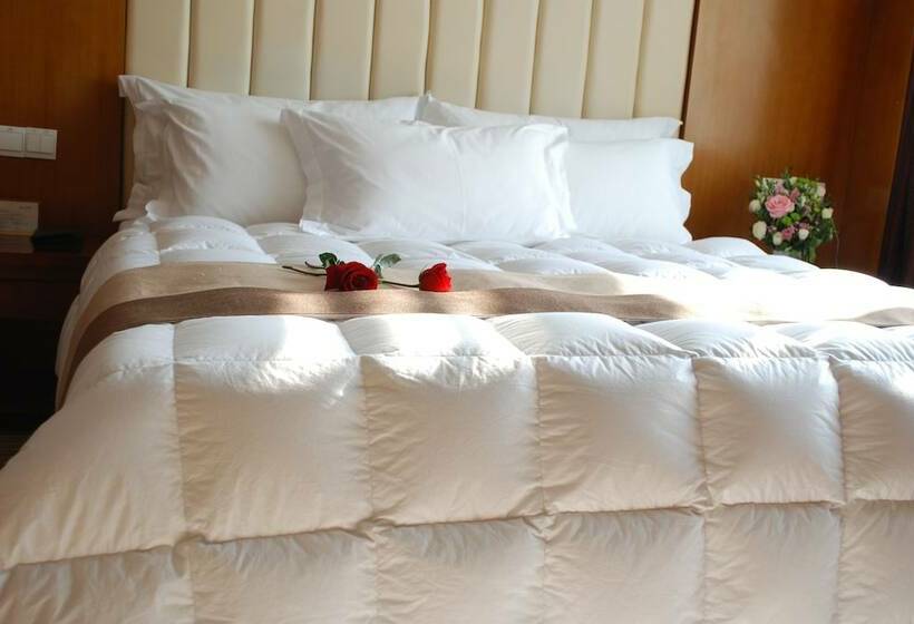 Pokój klasy Biznes, Shenzhen Sichuan