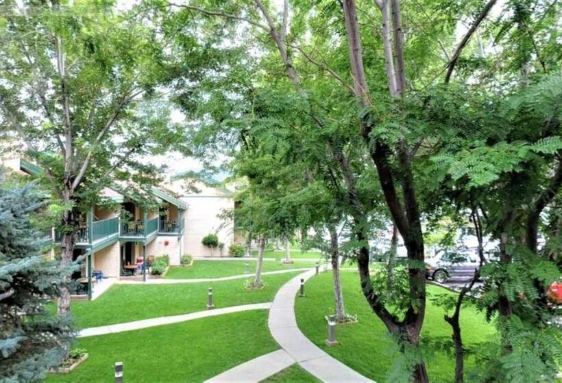 １ベッドルームアパートメント, Lagonita Lodge