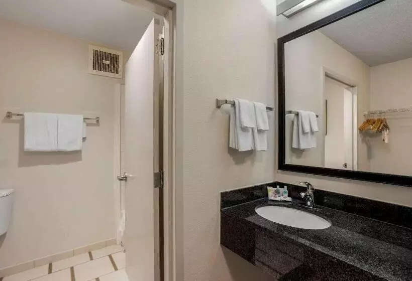 キングサイズベッドのスタンダードルーム, Comfort Inn & Suites Mt. Laurelphiladelphia