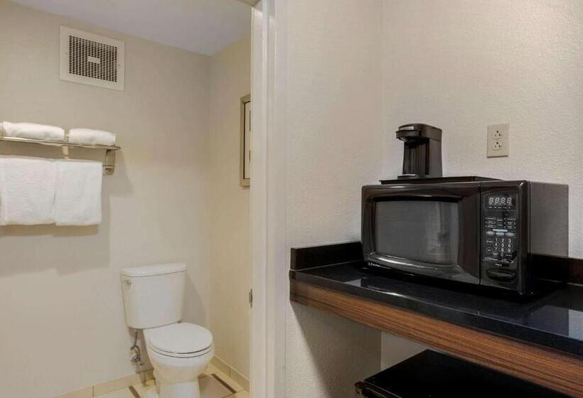 Люкс Кровать Кинг, Comfort Inn & Suites Mt. Laurelphiladelphia