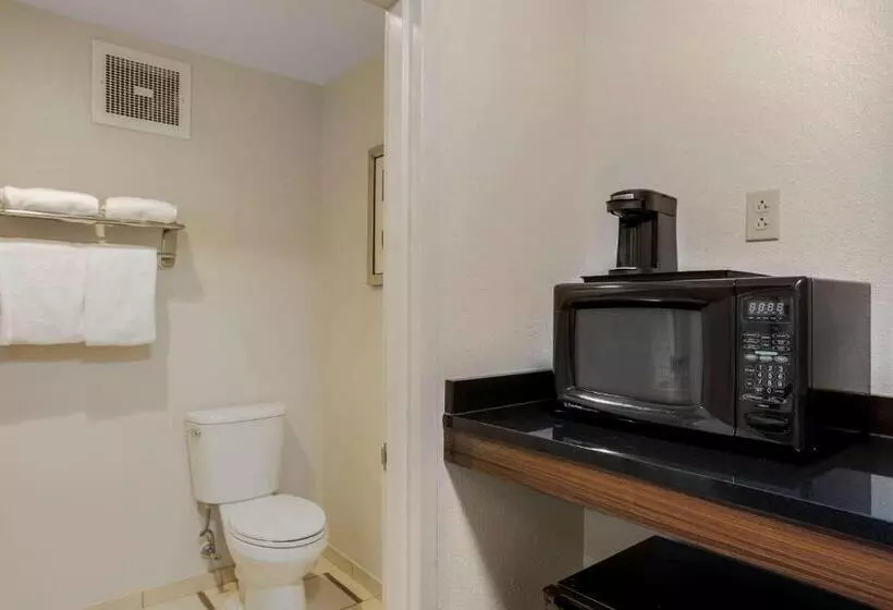 キングサイズベッドのスイートルーム, Comfort Inn & Suites Mt. Laurelphiladelphia