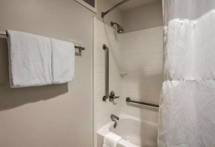 キングサイズベッドのスイートルーム, Comfort Inn & Suites Mt. Laurelphiladelphia