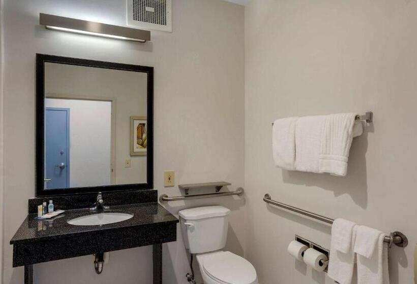 身障者適用キングサイズベッドルーム, Comfort Inn & Suites Mt. Laurelphiladelphia