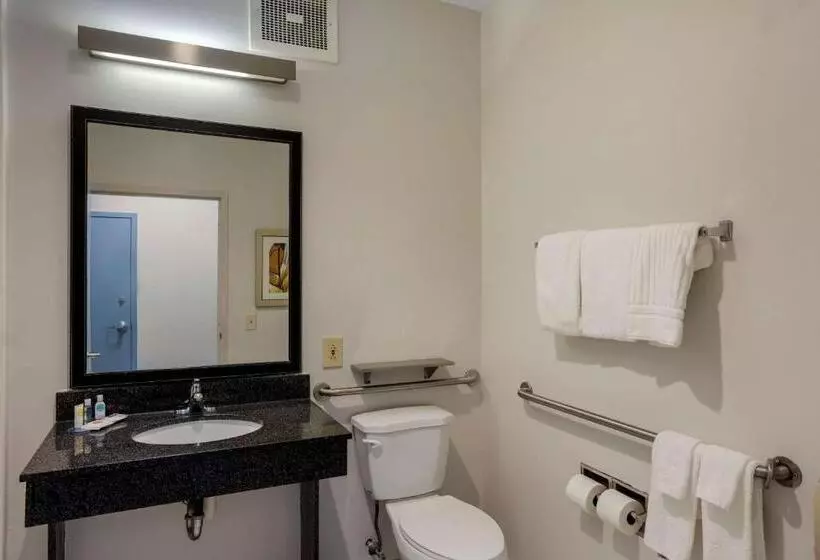 身障者適用キングサイズベッドルーム, Comfort Inn & Suites Mt. Laurelphiladelphia
