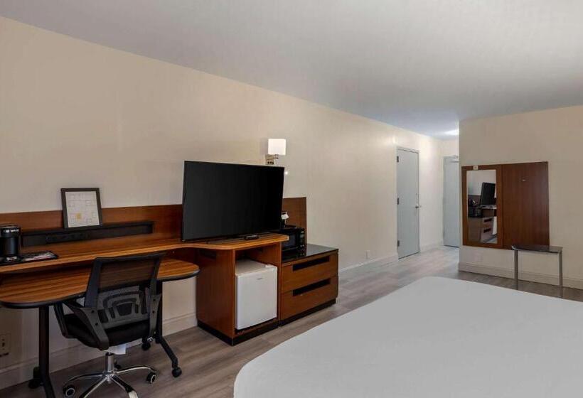Номер Стандарт Кровать Кинг Адаптированный для Инвалидов, Comfort Inn & Suites Mt. Laurelphiladelphia