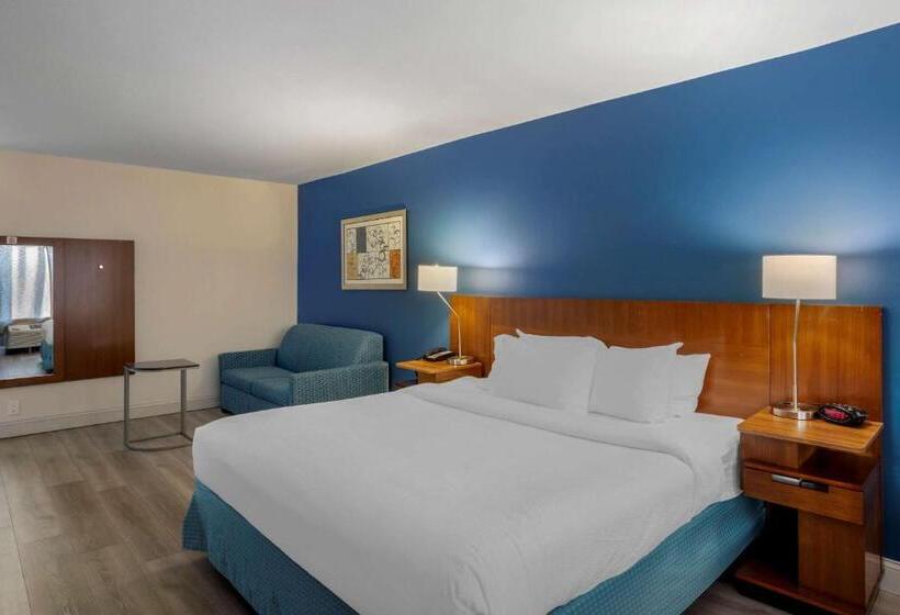 غرفة قياسية سرير كينج لذوى الإحتياجات الخاصة, Comfort Inn & Suites Mt. Laurelphiladelphia