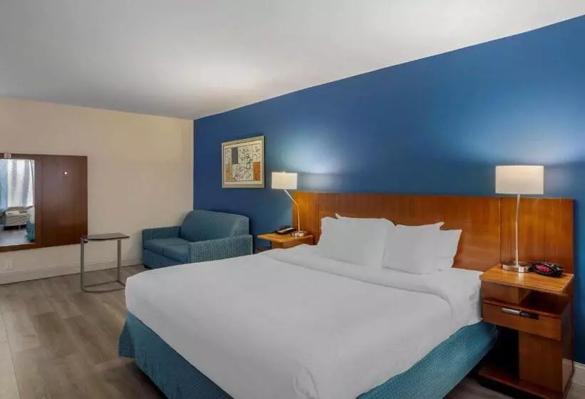身障者適用キングサイズベッドルーム, Comfort Inn & Suites Mt. Laurelphiladelphia