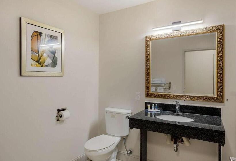 Номер Стандарт Кровать Кинг Адаптированный для Инвалидов, Comfort Inn & Suites Mt. Laurelphiladelphia